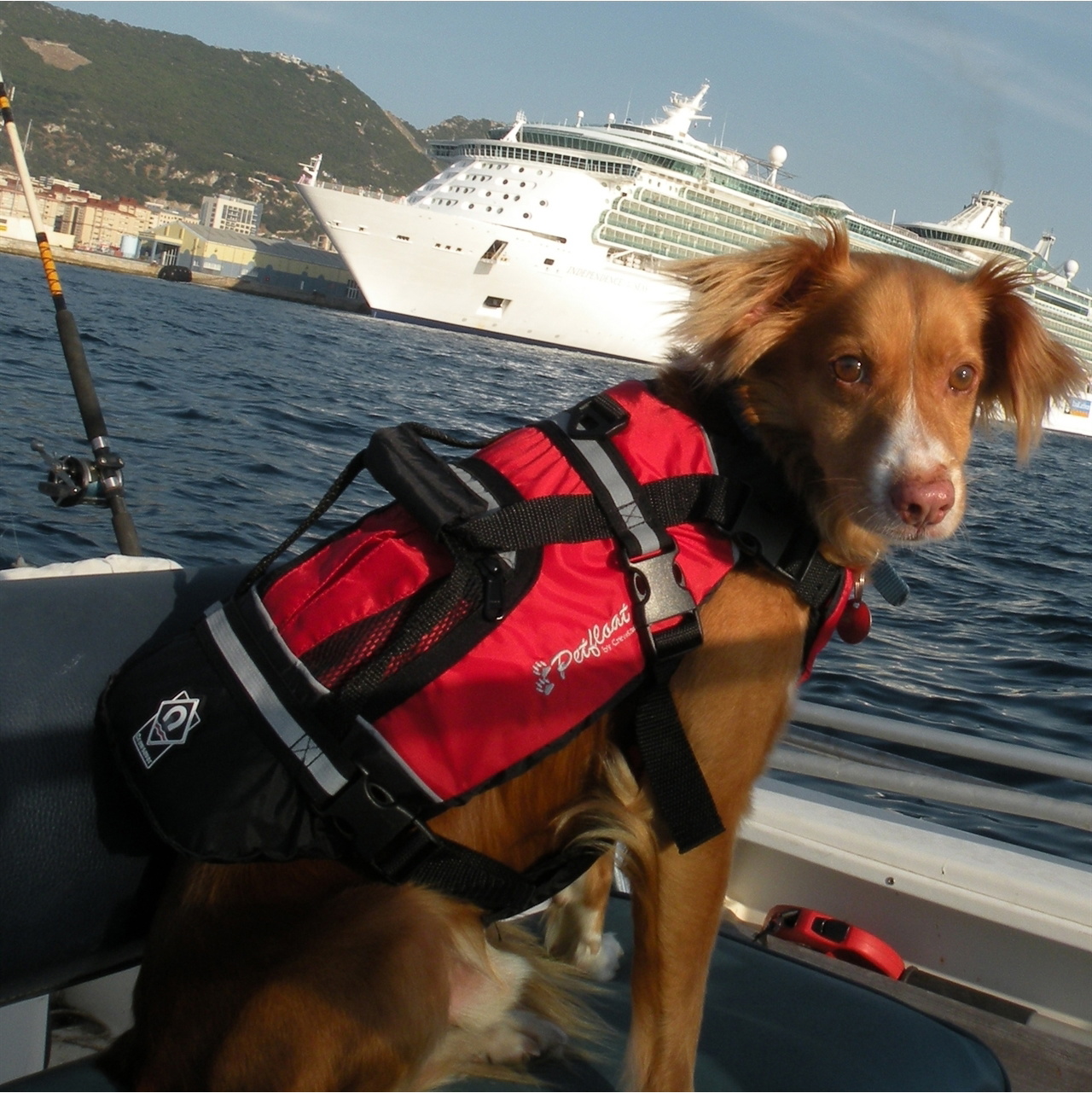 2026 Crewsaver Pet Flotador Salvavidas Perro / Gato 2370 - Red