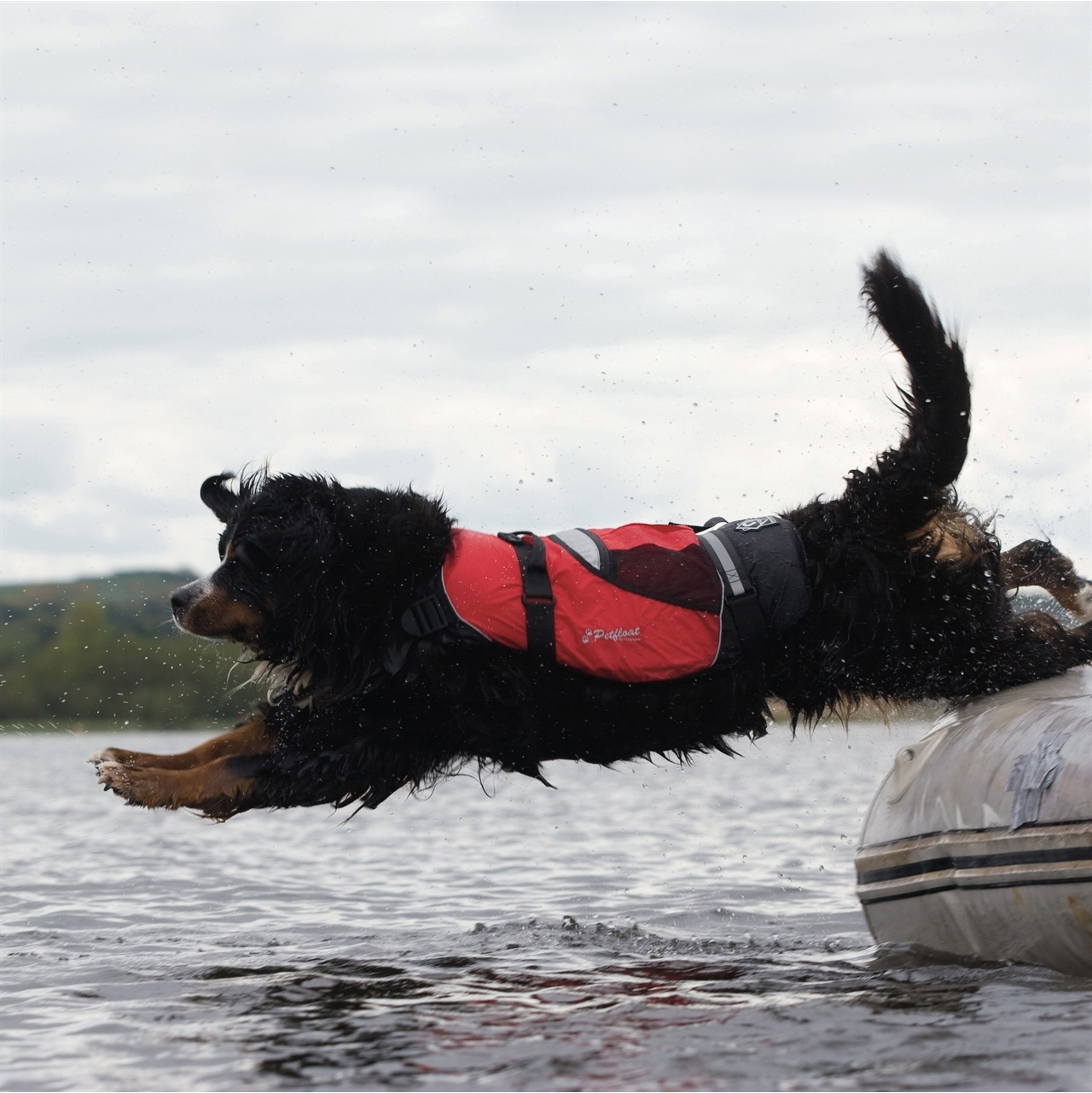 2026 Crewsaver Pet Flotador Salvavidas Perro / Gato 2370 - Red