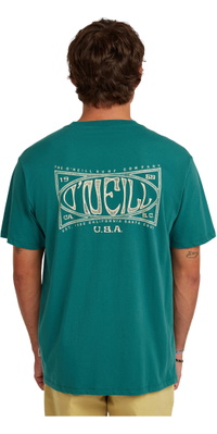 2026 ONeill Hombres Caja De Logo Camiseta 2850353 - Botanical Heat