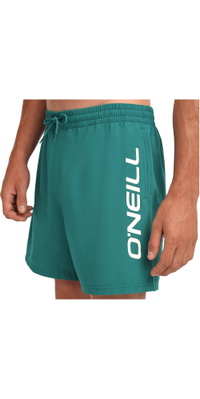 2026 ONeill Hombres ONeill Bañador Con Logotipo De 16 Pulgadas 2800256 - Botanical Heat