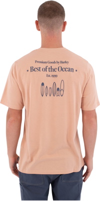 2026 Hurley Hombres Prensa De Impresión Biriri Camiseta MTSEUED0002619 - Beach Clay