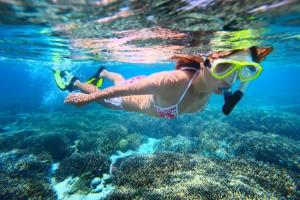 Couple snorkeling