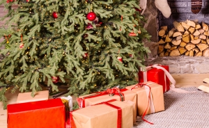 Presents under tree