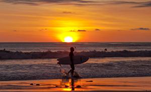 Surf de Nuit